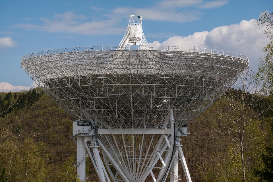 Forest architecture structure sky