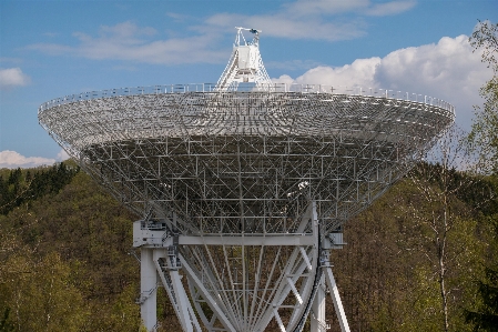 Forest architecture structure sky Photo