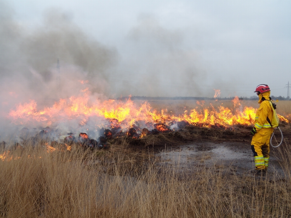 Campo pradaria
 fogo corpo de bombeiros
