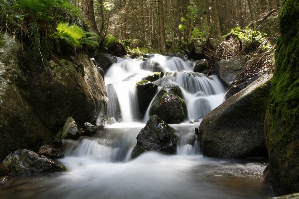 água natureza floresta cachoeira