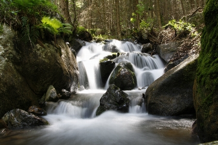 水 自然 森 滝 写真