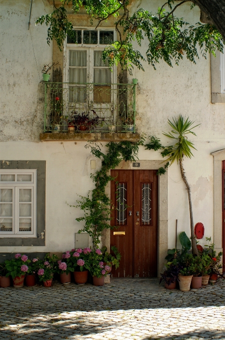 Plant house flower window