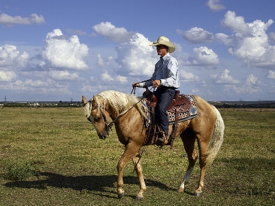 Landscape rope animal country Photo