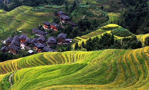 Landscape field village asia Photo