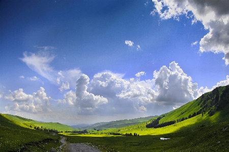 Landscape nature grass horizon Photo