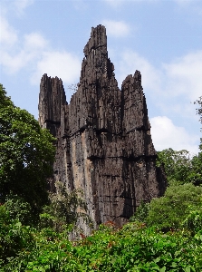 Landscape tree nature rock Photo