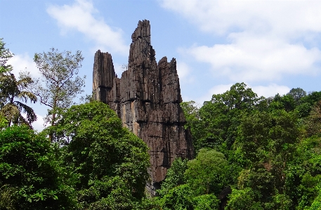 風景 木 自然 rock 写真