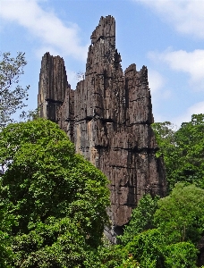 Landscape tree nature rock Photo