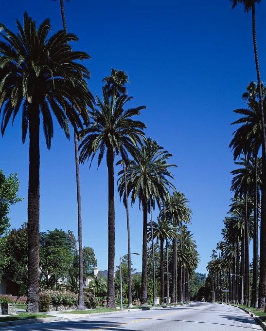 Plage paysage arbre usine