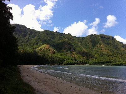 ビーチ 風景 海 海岸 写真