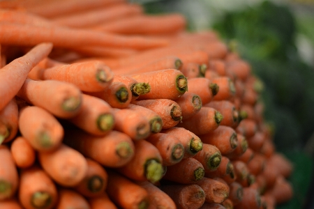 Plant flower orange food Photo