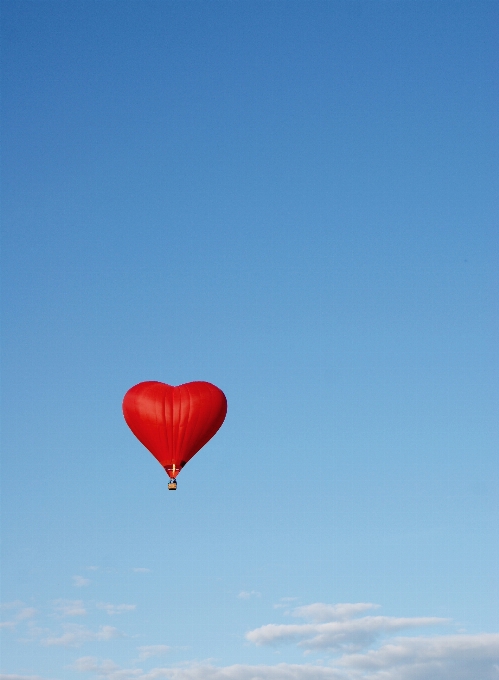 Wing sky flower balloon