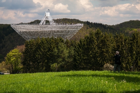 Man forest grass structure Photo