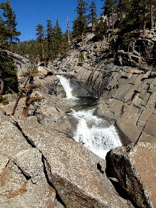 Landscape tree water nature Photo