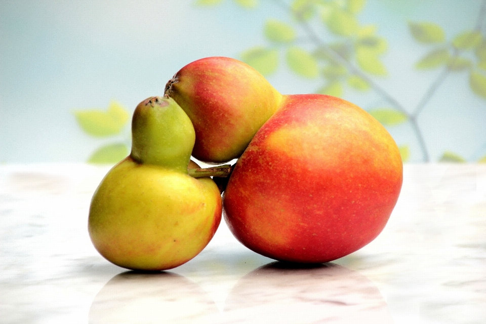 Apple 植物 水果 食物