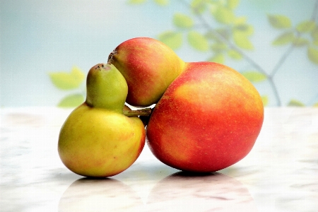 Apple 植物 水果 食物 照片