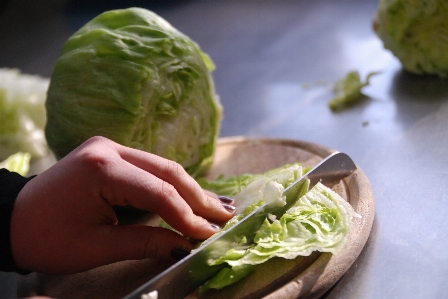 Foto Piatto cibo insalata verde