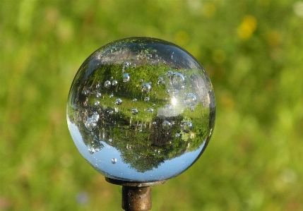 Foto Agua naturaleza césped vaso