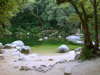 Landscape water nature forest Photo