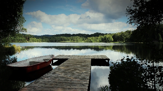 Foto árvore água natureza floresta