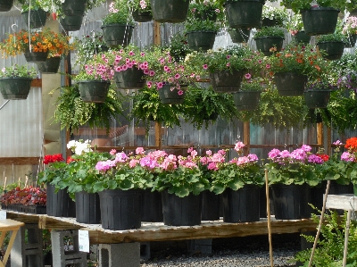 Arbeiten natur wachstum anlage Foto