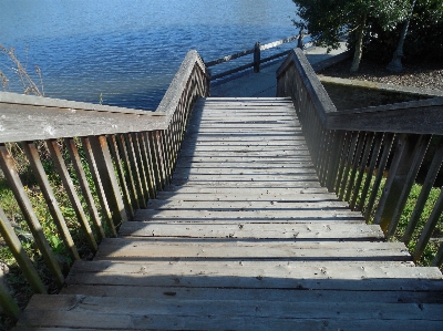 Walking boardwalk wood bridge Photo