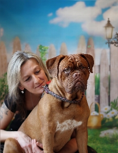 子犬 犬 女性 平和 写真