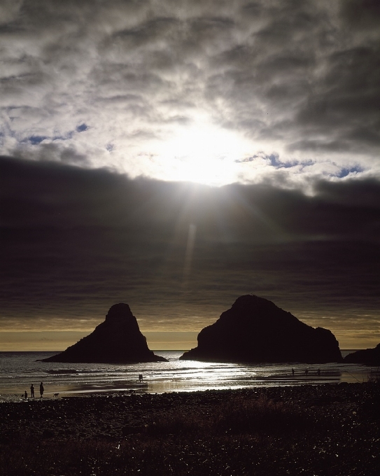 Plage paysage mer côte