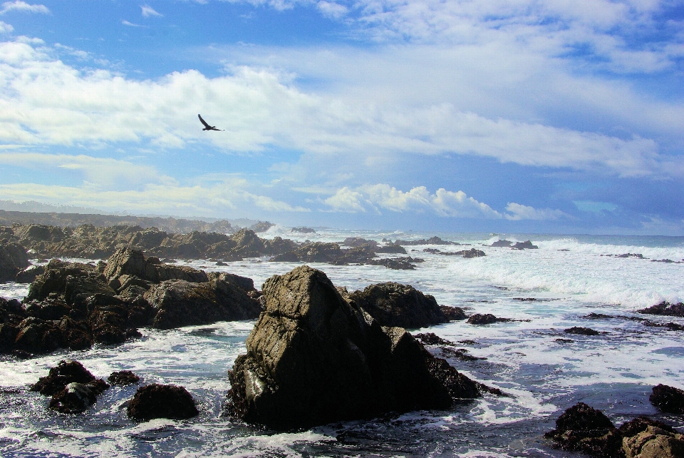 Praia paisagem mar costa