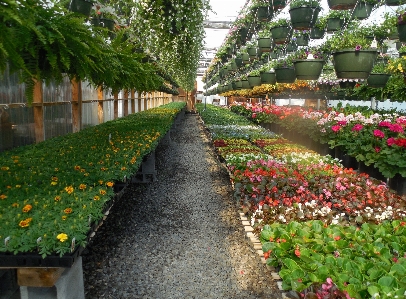 Arbeiten natur wachstum anlage Foto