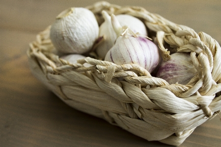 Plant flower petal food Photo