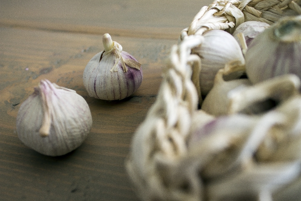 Plantar flor comida culinária