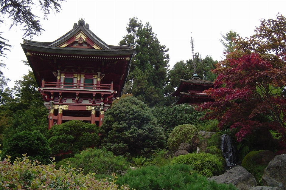 Natur gebäude turm garten