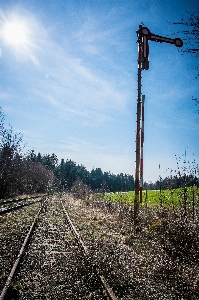 風景 木 追跡 鉄道 写真