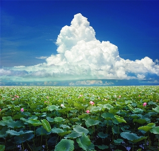 Landscape coast water nature Photo