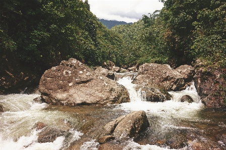 Water nature rock waterfall Photo