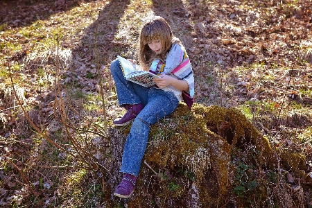 Tree nature forest book Photo