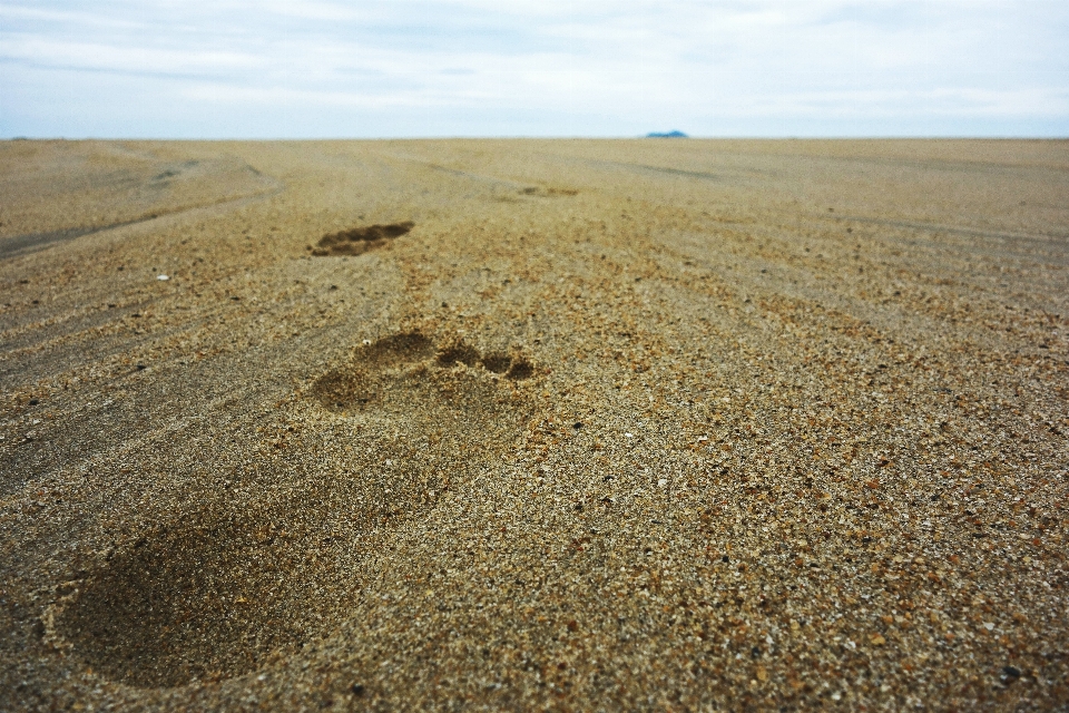 Pantai lanskap pasir cakrawala