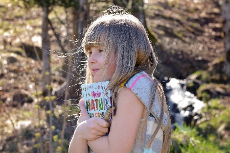 Nature forest grass book Photo