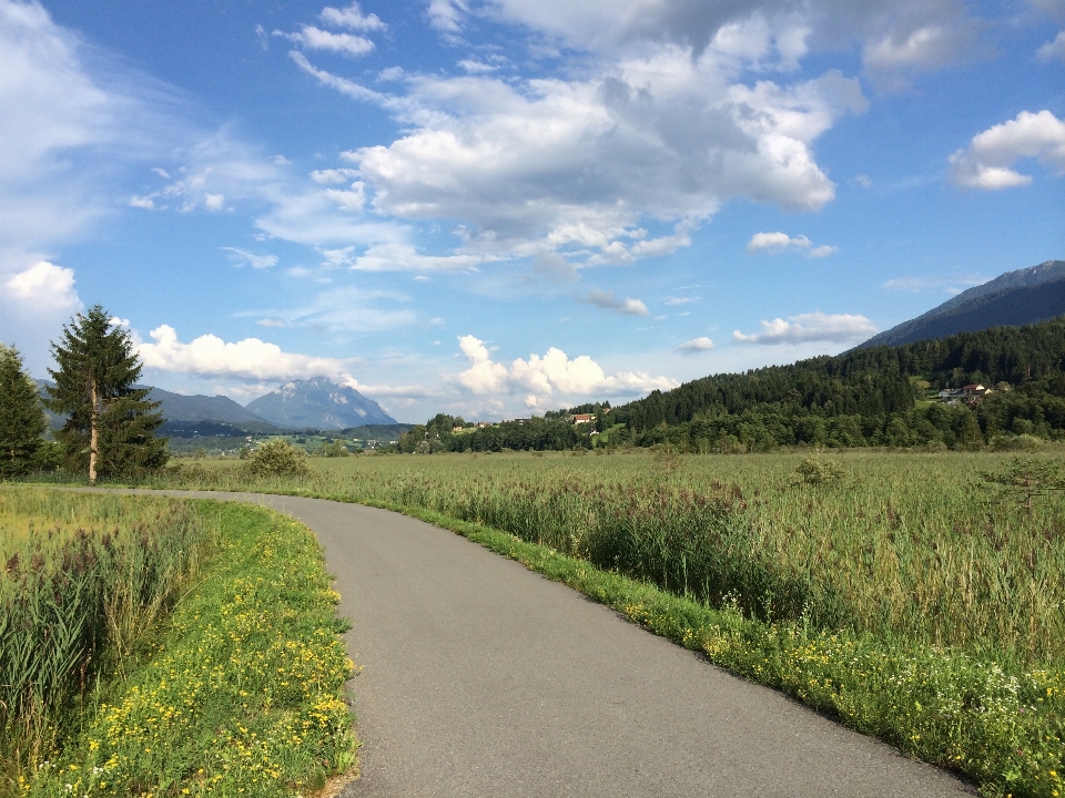 Landscape nature grass mountain