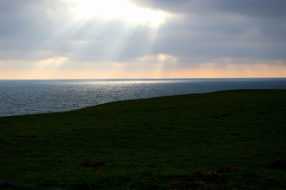 Beach sea coast nature