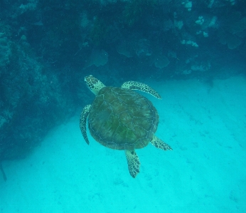 海 水 自然 海洋 写真