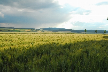 Landscape nature grass horizon Photo