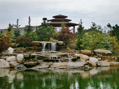 湖 池 ラグーン
 公園 写真