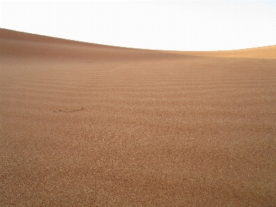 Landscape sand desert dune Photo