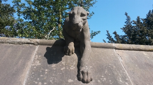 Zdjęcie Architektura pies kamień statua