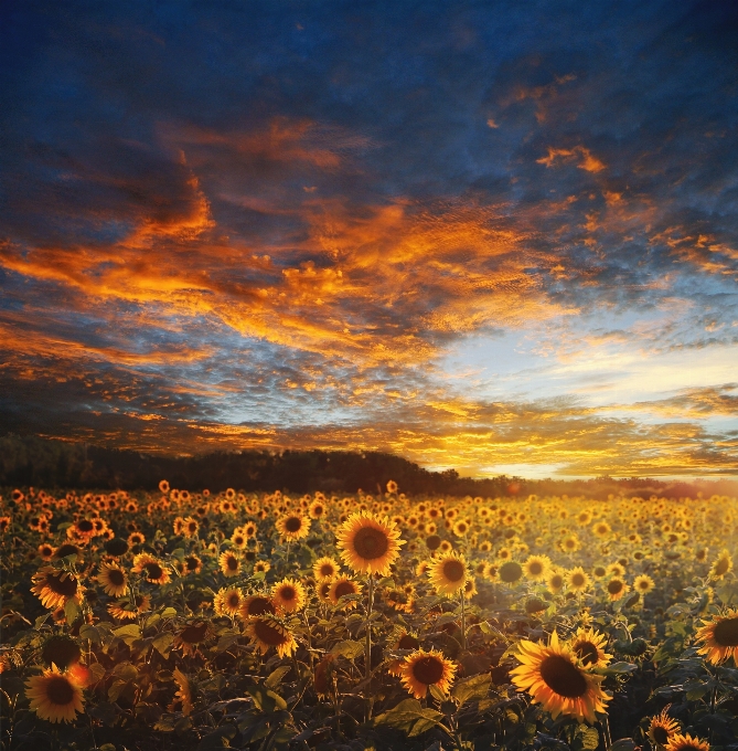 Landscape nature outdoor horizon