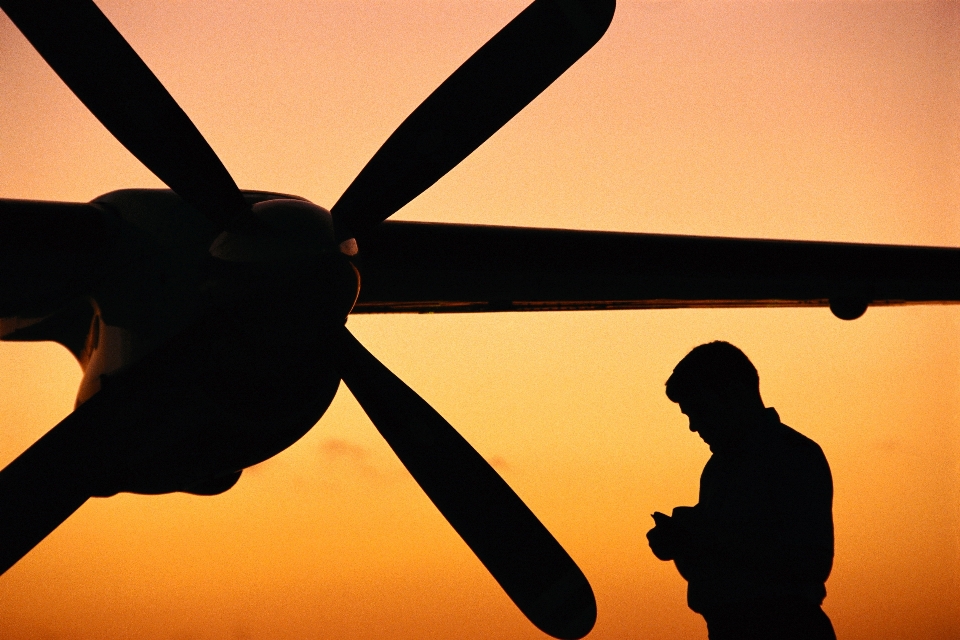 Silhouette ala cielo aereo