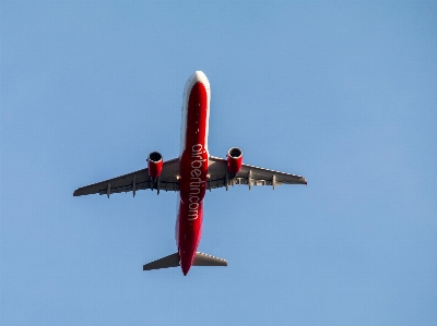 Wing sky fly travel Photo