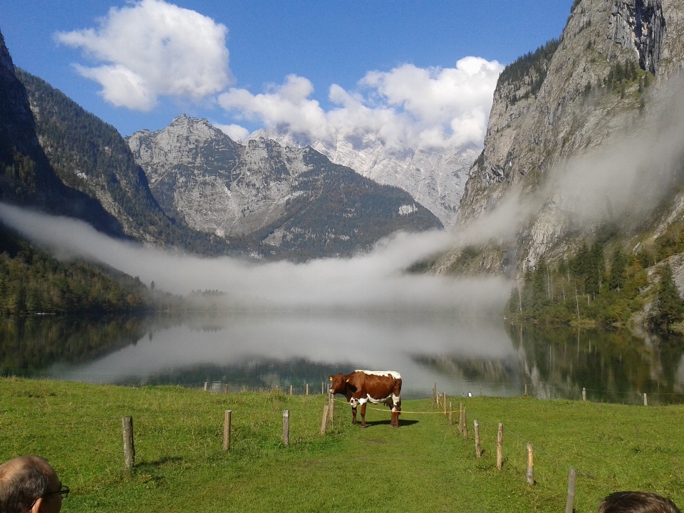 Landschaft natur wildnis
 gehen